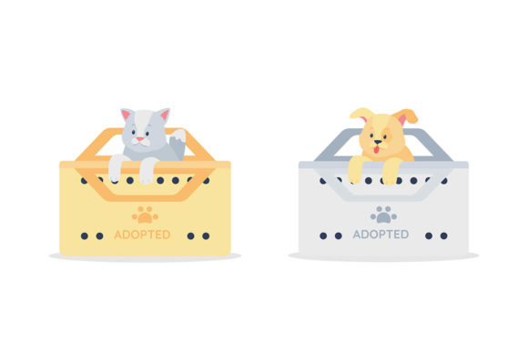 Adopted Grey Cat and Golden Dog