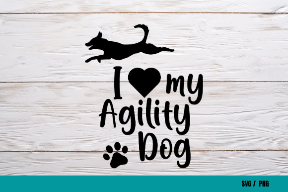 Border Collie Agility Dog: A Practical Design Review