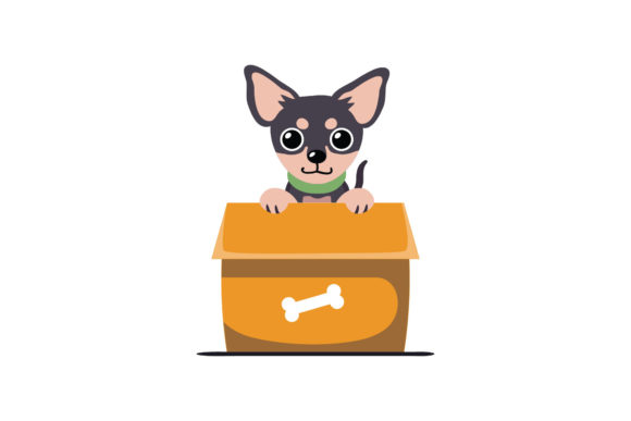 Dog Comes out of the Box: A Practical Embroidery Review